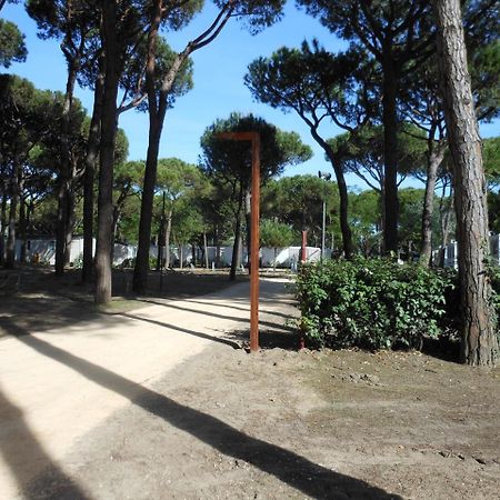 Albatross Mobile Homes On Camping Waikiki Lido di Jesolo Exterior foto